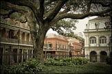 Man in Jackson Square P.O.D. cover